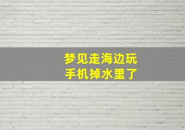 梦见走海边玩 手机掉水里了